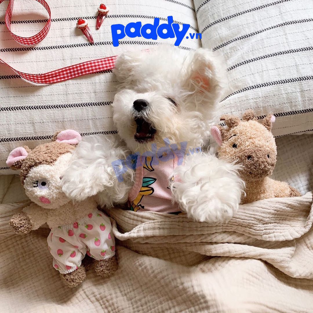 Đồ Chơi Cho Chó Thú Bông DoggyMan