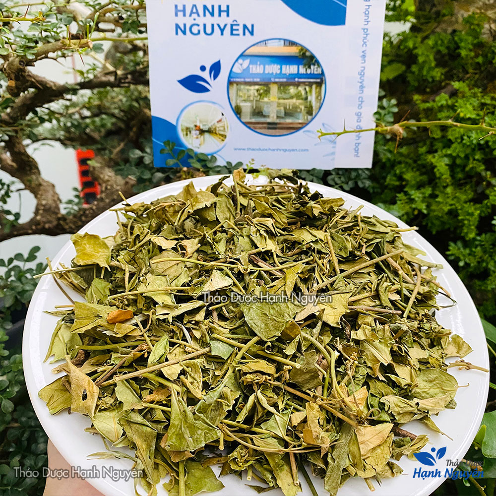 Dây thìa canh khô 1kg, hỗ trợ tốt cho người tiểu đường, giảm mỡ máu, ổn định đường huyết