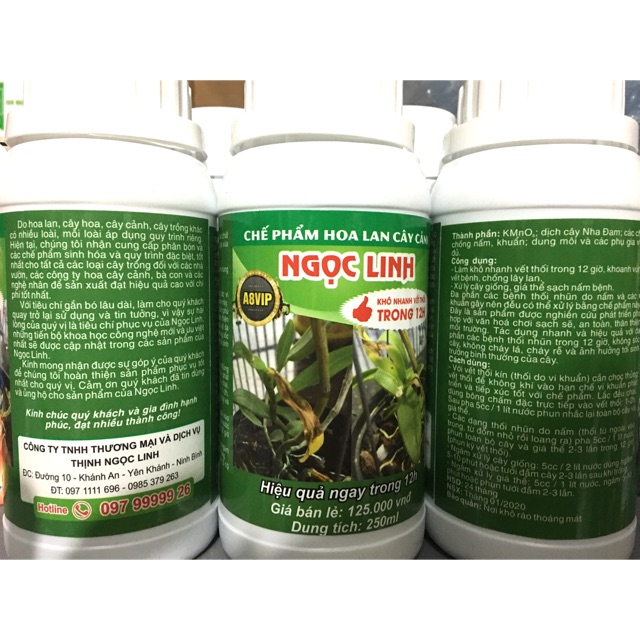 Chế phẩm Ngọc linh 12h cho cây thối nhũn