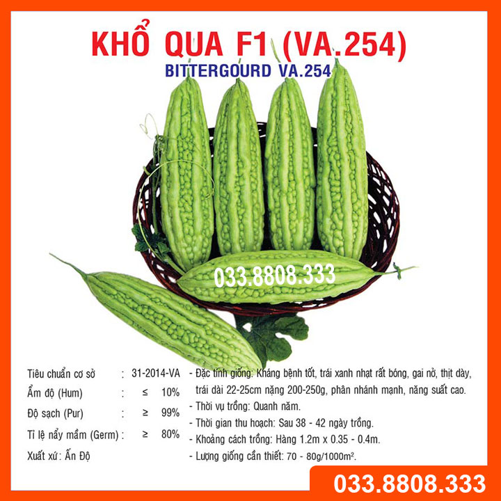 Hạt giống quả khổ qua nhanh ra quả