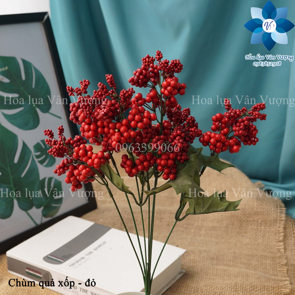 Hoa Giả, Chùm Quả Xốp Điểm