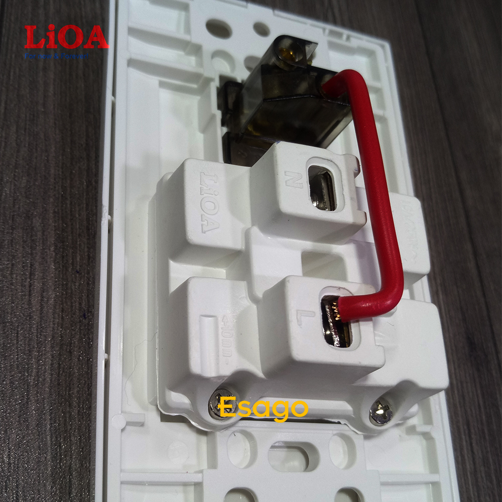 Ổ cắm điện đôi 2 chấu 16A (3520W) + 1 công tắc điện LiOA