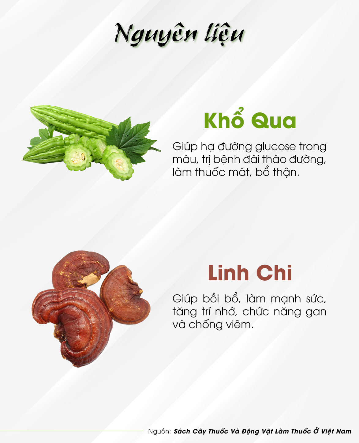 TRÀ KHỔ QUA -  Trà Hùng Phát