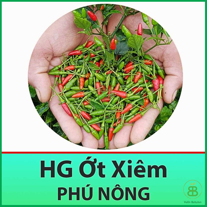 Hạt Giống Ớt Xiêm Cao Sản 0,1Gr