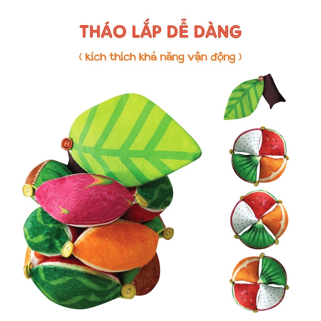 BÓNG MÚI MONTESSORI- FRUITS