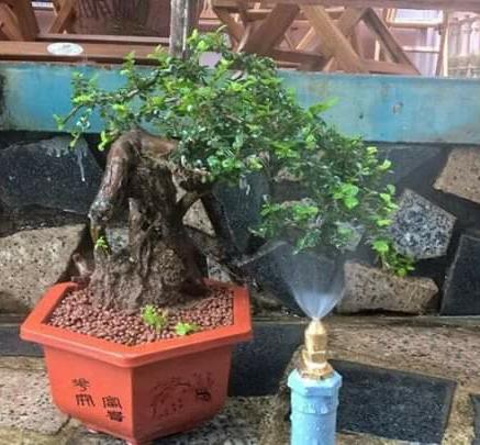 Bộ 10 Đầu Phun Sương Đồng Ren 21mm