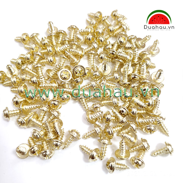 [HCM][1 ký] vít dù 3x10 Mm Đầu + loại 1 Nhập Khẩu