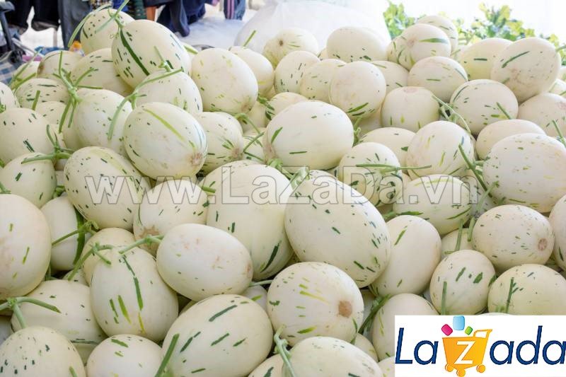 25 HẠT Hạt Giống Dưa Lê Đốm Hàn Quốc (B3.504| A2*X55*M180)