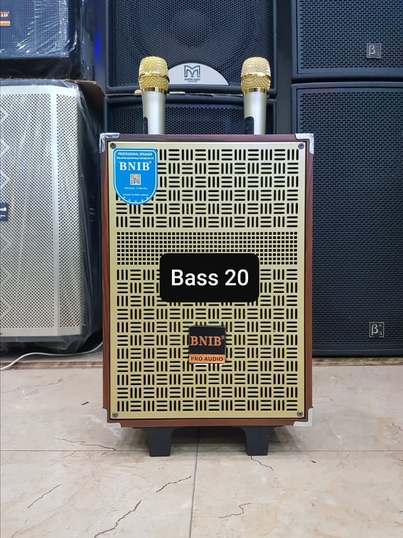 Loa kéo karaoke bluetooth bnib m9: bass 20, có 2 micro không dây đi kèm, hàng chính hãng
