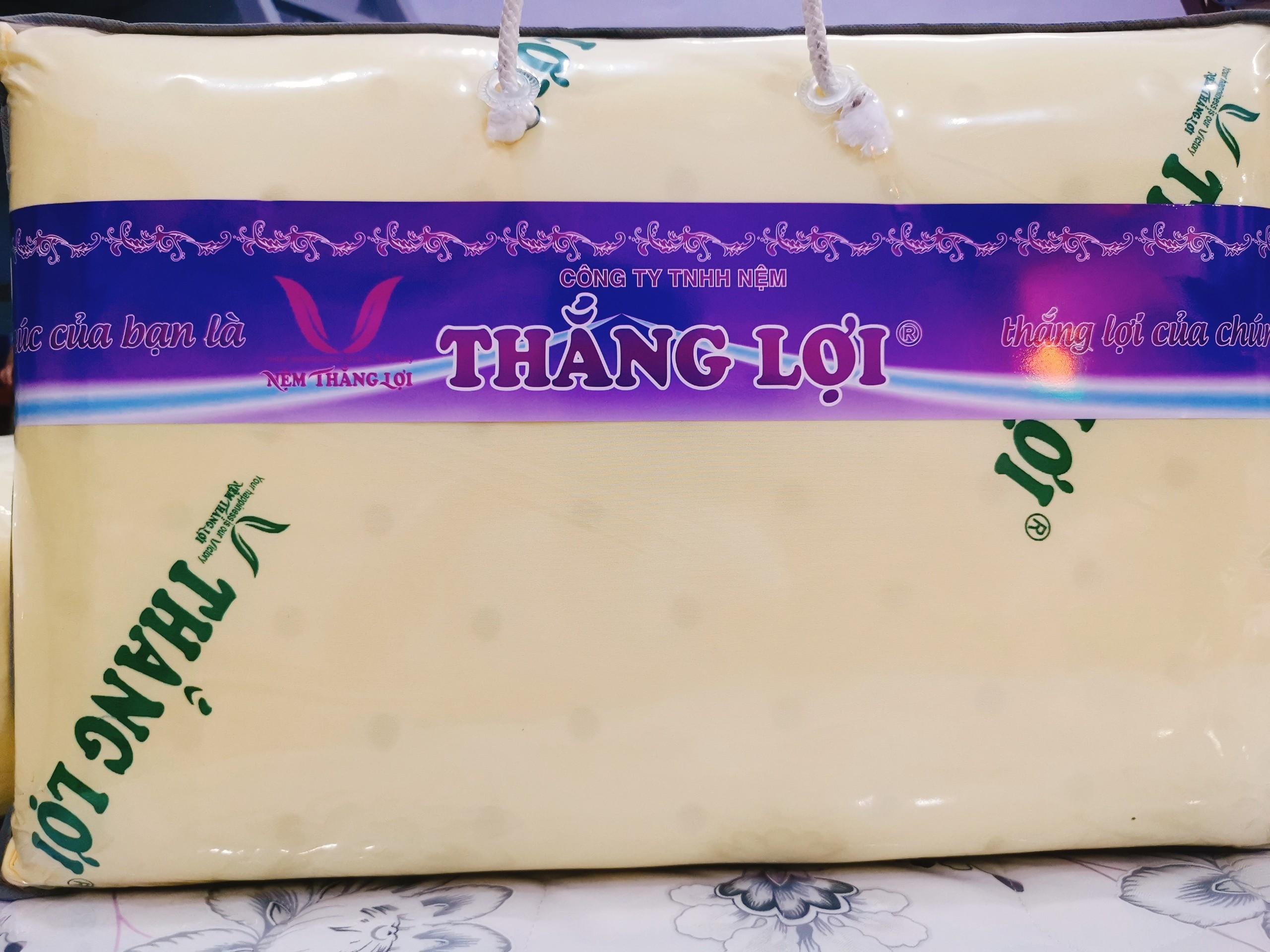 [HCM]GỐI CAO SU NON THẮNG LỢI CAO CẤP (Kích thước 50cm x 70cm)