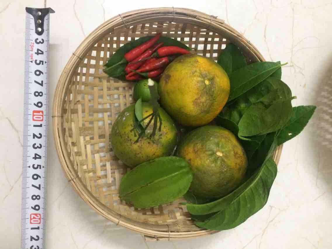 RỔ TRE 22cm