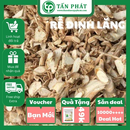 [Hàng công ty mới về] Rễ đinh lăng khô 500g - Hỗ trợ bồi bổ và tăng cường sinh lực
