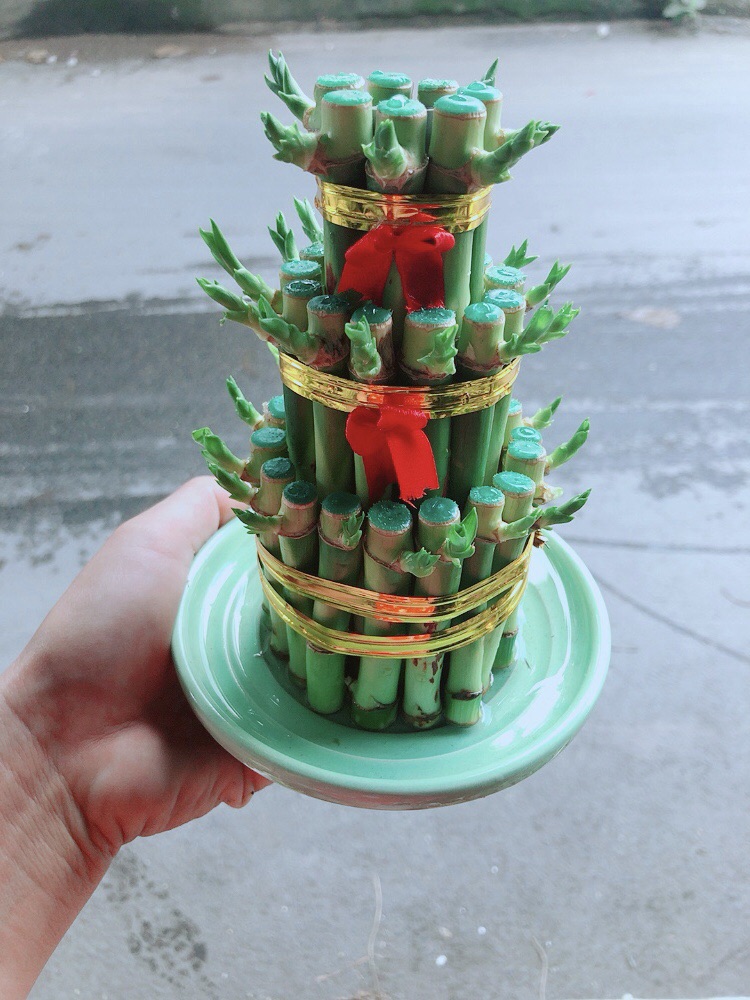 Trúc Phát Tài 3 Tầng