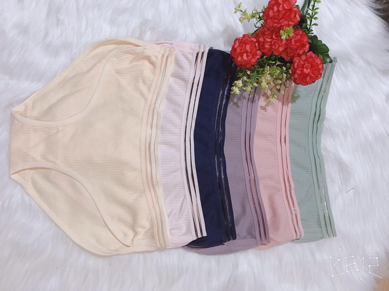 Combo 5 quần lót Muji tăm tre siêu đẹp