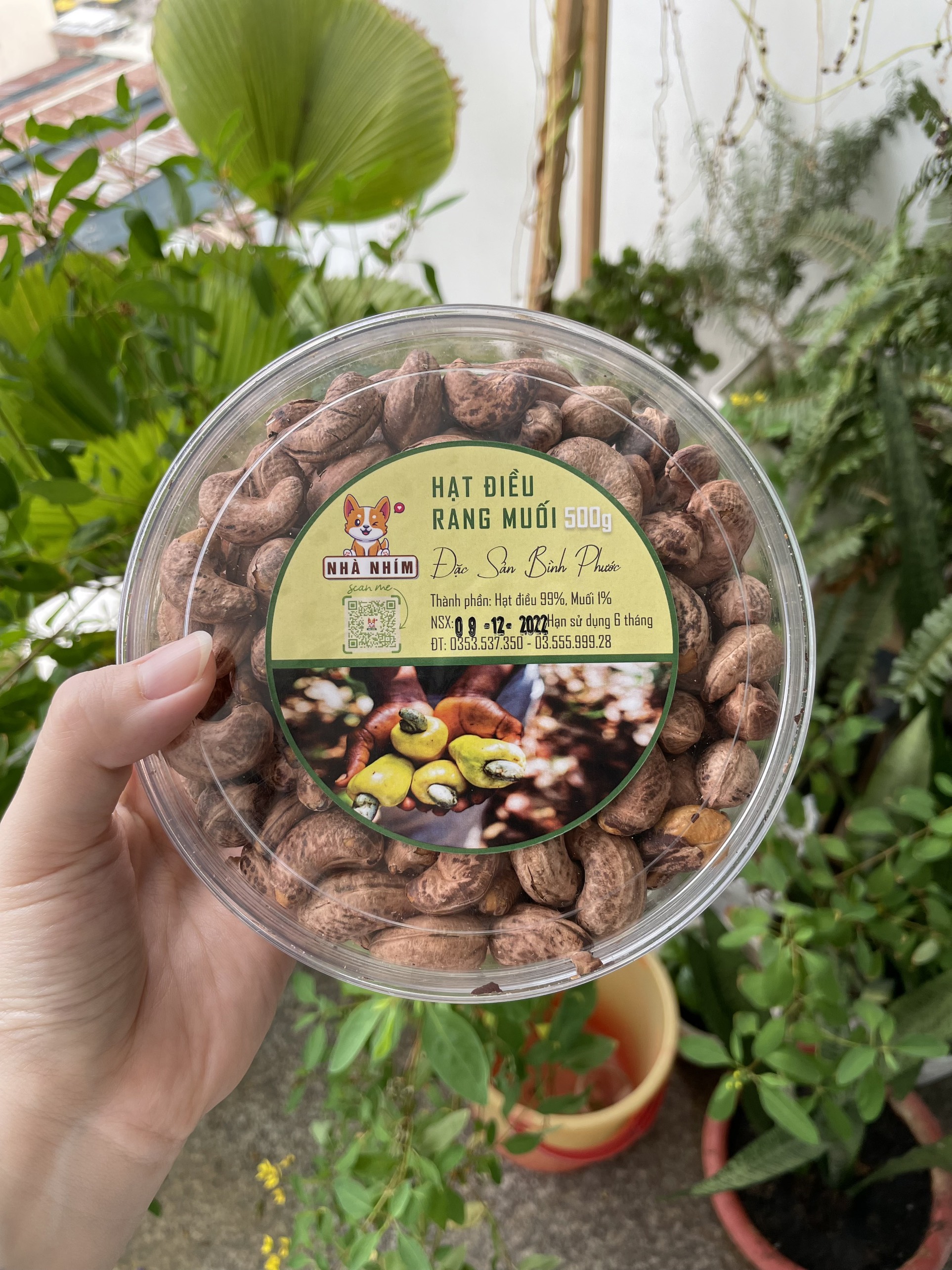 [COMBO 2KG] Hạt điều rang muối Bình Phước - đóng hộp