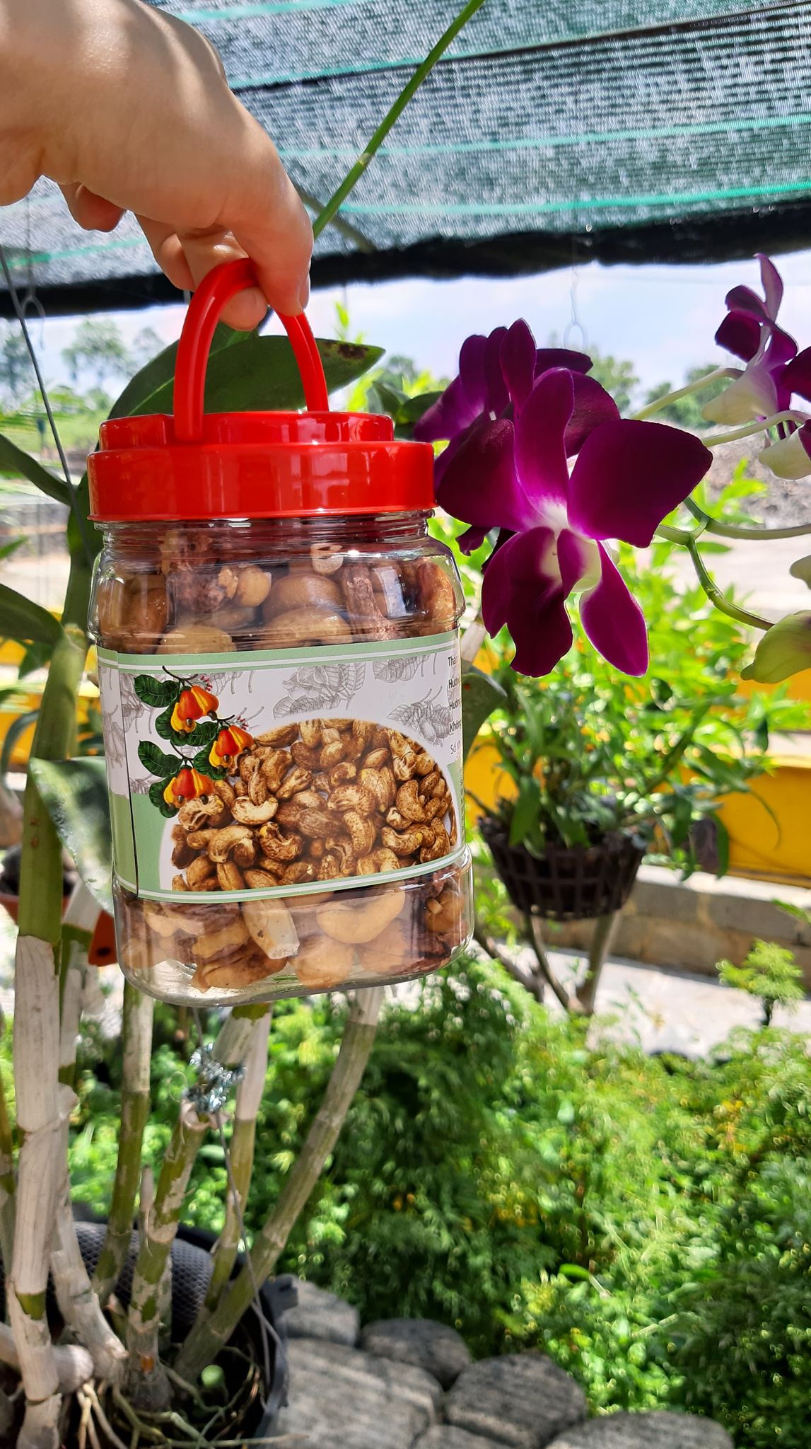 500G HẠT ĐIỀU RANG MUỐI NGUYÊN HẠT