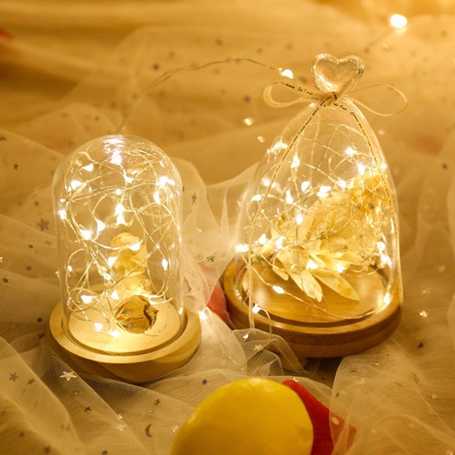Đèn led decor phòng ngủ đèn đom đóm dùng pin usb 2m đèn ngủ decor phòng ngủ trang trí phòng hoặc đèn trang trí noel