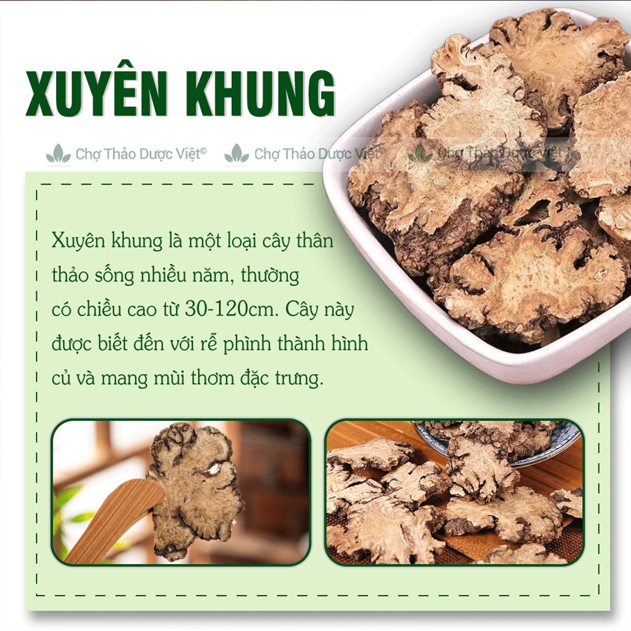 Xuyên khung 500g, hàng khô, sạch, thái lát mỏng, không vụn - Chợ Thảo Dược Việt