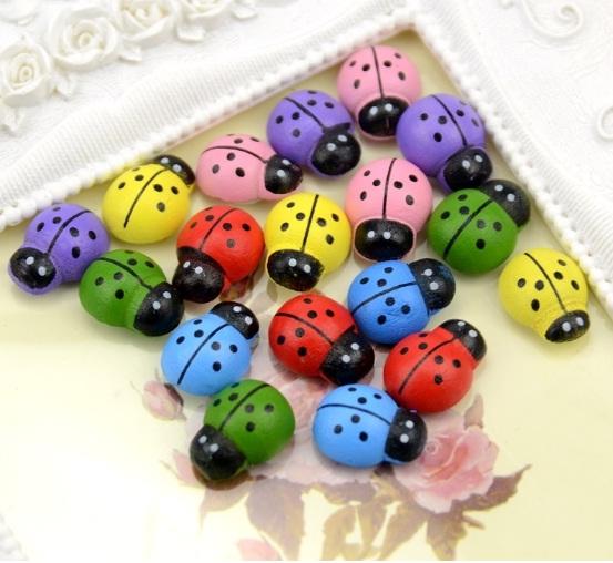 Bọ rùa đủ màu ( 10 con )