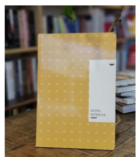 Vở Crabit Dotted Notebook - Vở kẻ chấm bi (Giấy ruột Dot) - Vàng chấm bi