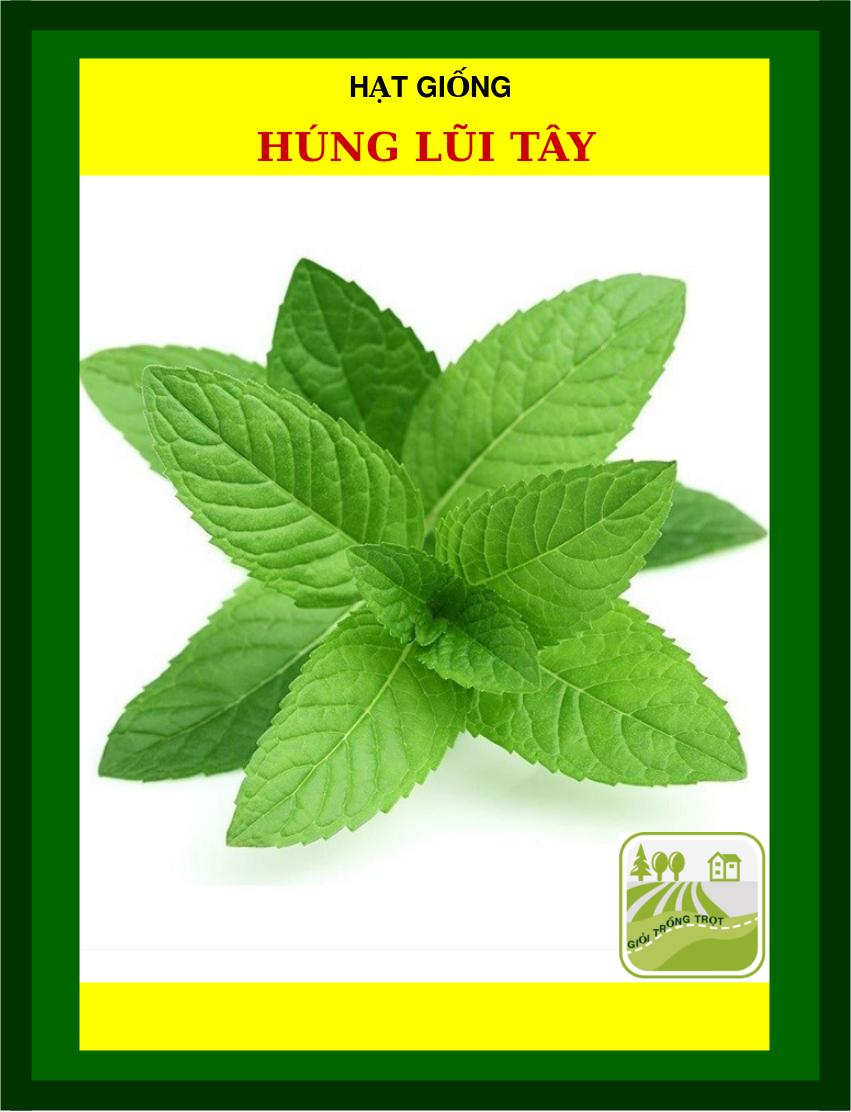 Hạt Giống Rau Húng Lũi Tây - 3090 Hạt