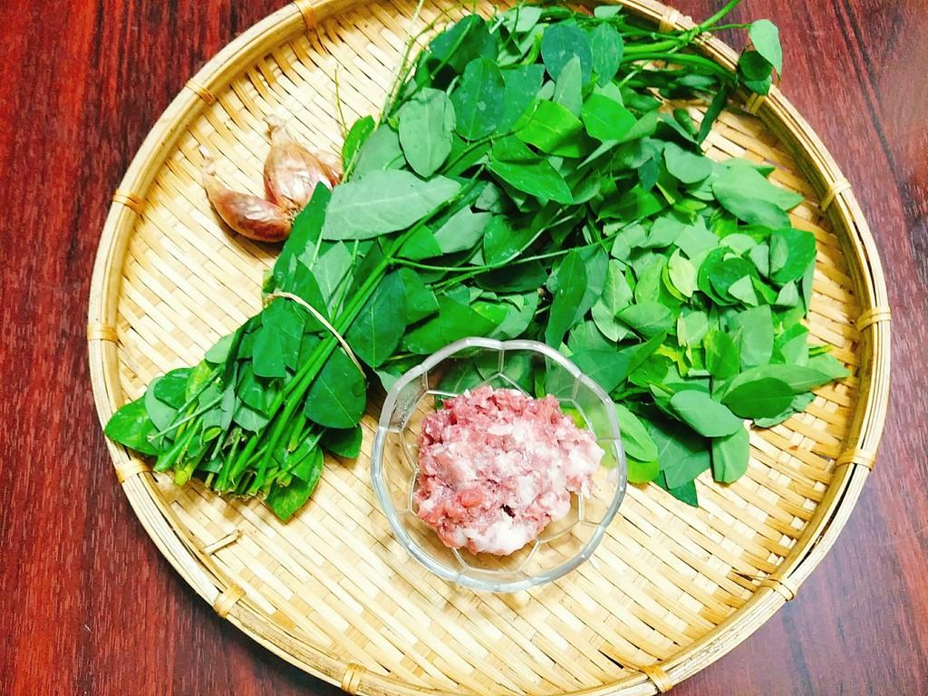 Hạt Giống Rau Ngót Dễ Chăm Sóc, Thu Hoạch Liên Tục