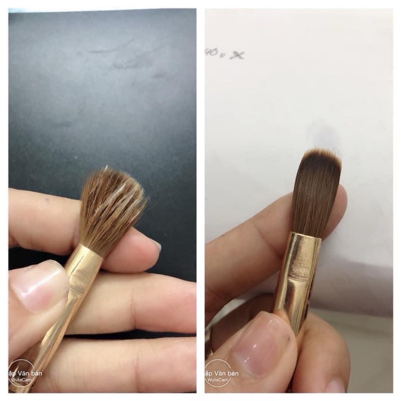 Nước rửa cọ