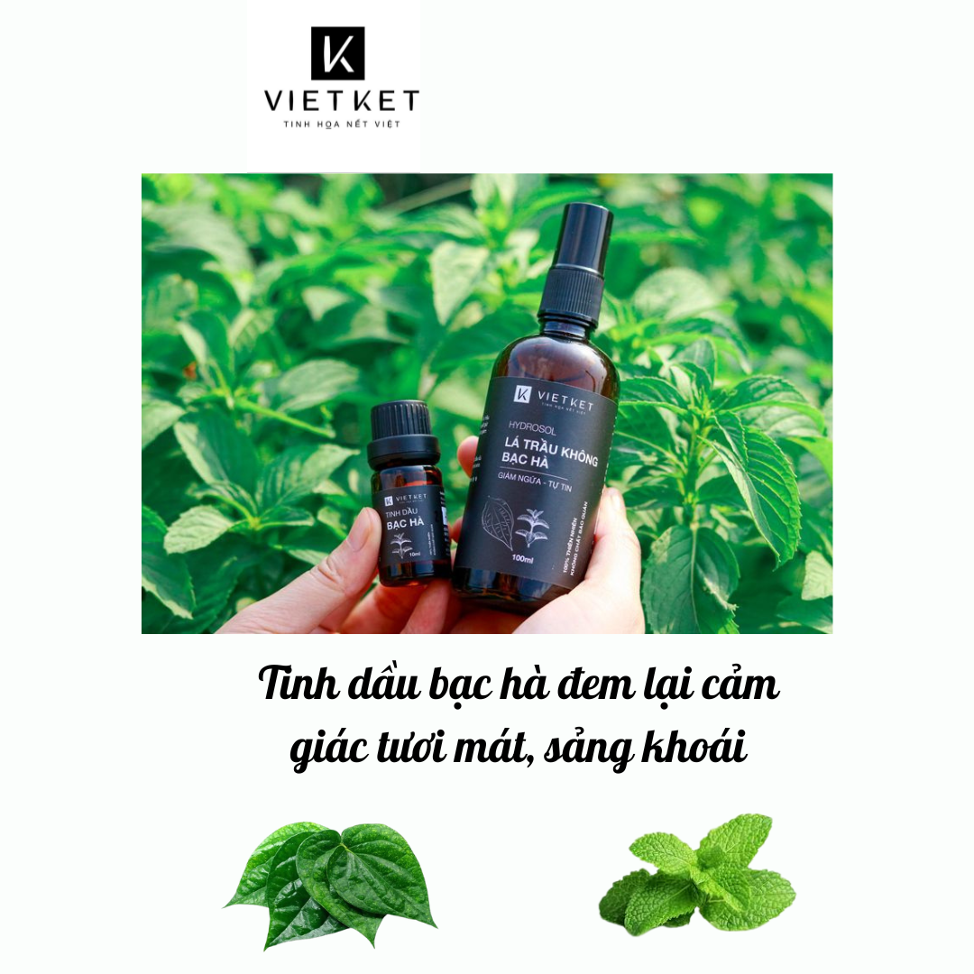 (Vietket) Hydrosol trầu không Vietket (Nước cất trầu không) Giảm ngứa, se khít vùng kín, khử mùi hôi hiệu quả Chai thuỷ tinh 100ml Koshka Home