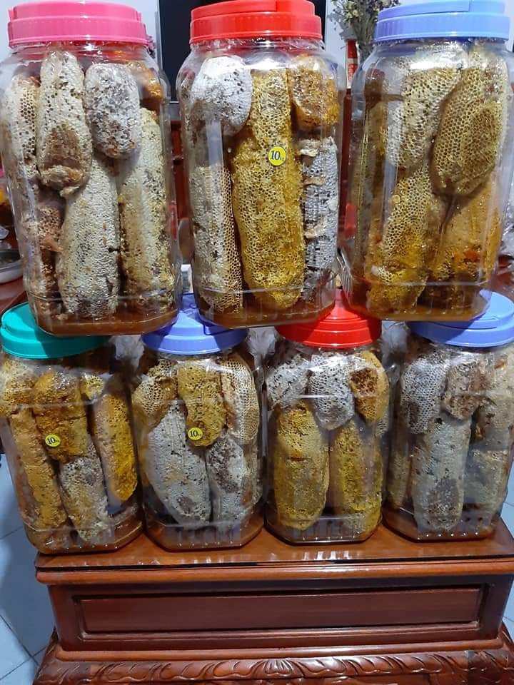 mật ong ruồi nguyên tổ ( r.ừng nguyên sinh Tây Nguyên )