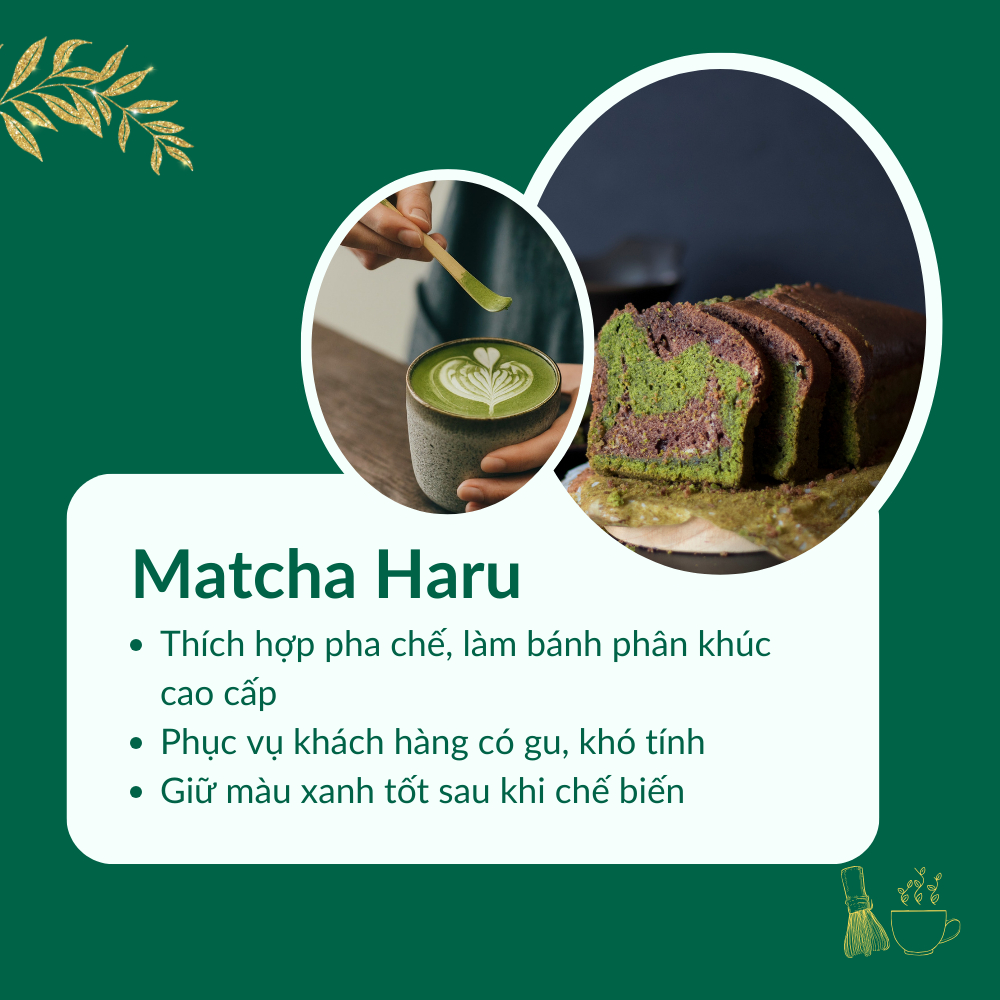 Bột Matcha Haru Nhập Khẩu Chính Hãng Nhật Bản, Dùng Pha Chế Đồ Uống , Làm Bánh, Trà Đạo