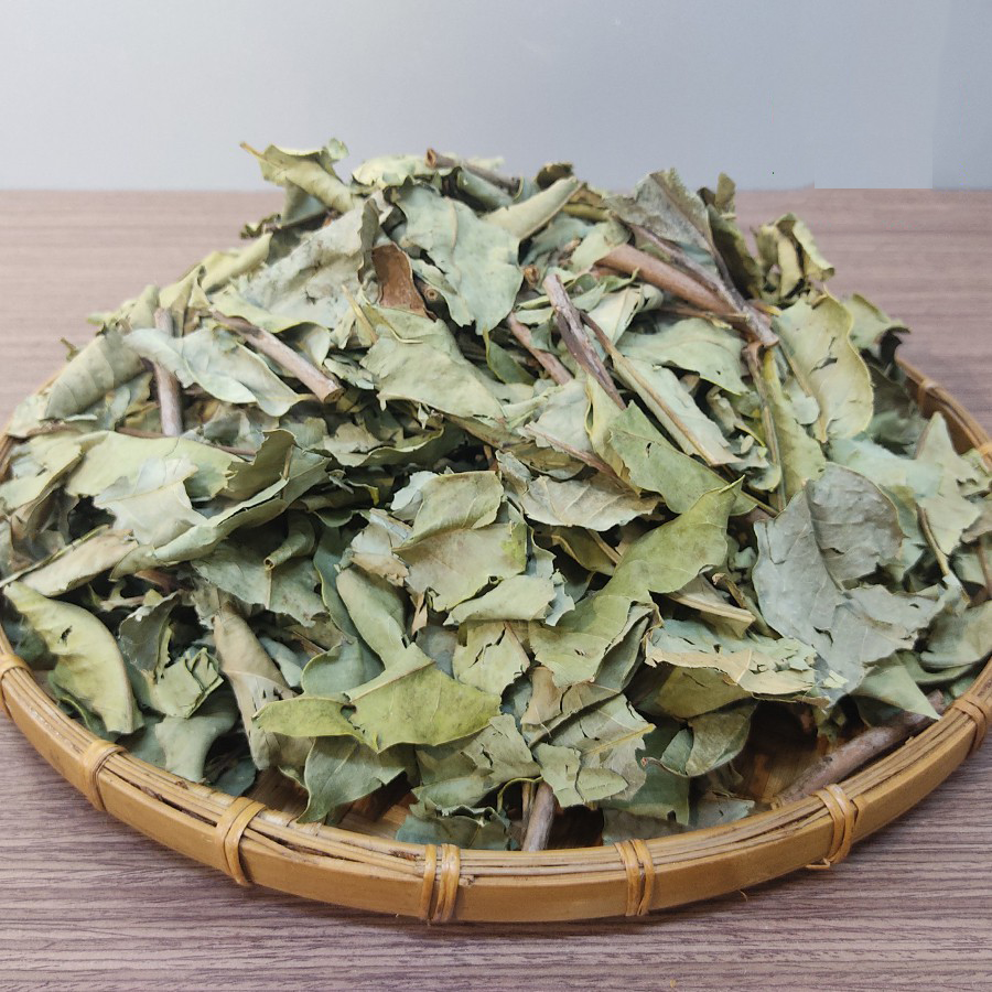 Lá vối nếp sấy khô 1kg