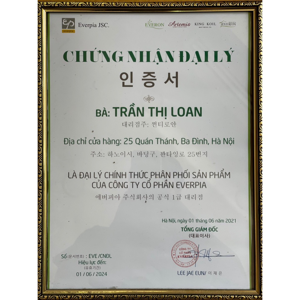 [EVERON] Ruột Gối Đầu Trẻ Em 35*50