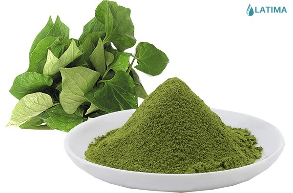 Bột diếp cá (100gr)