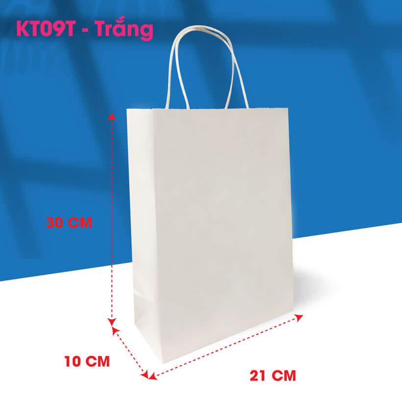 Combo 10 Túi Quai Giấy trơn KT09T (30 x 21 x 10)