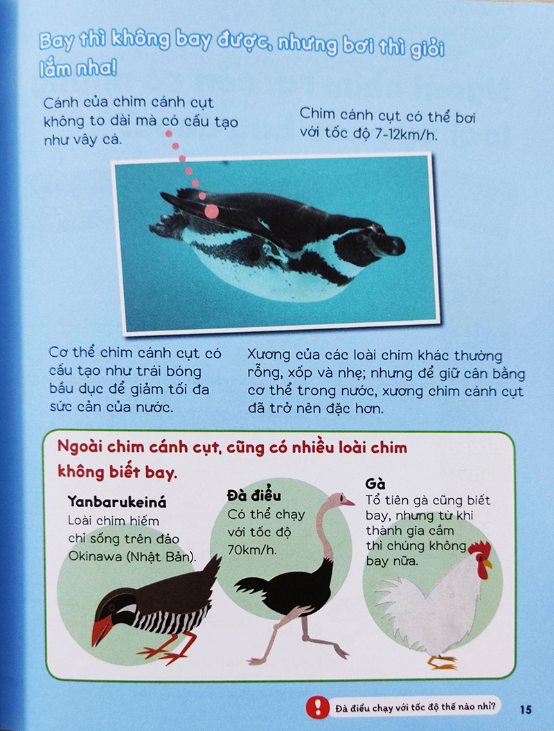 Sách cho bé - Gi Gỉ Gì Gi Cái Gì Cũng Biết - Dành Cho Lớp 3