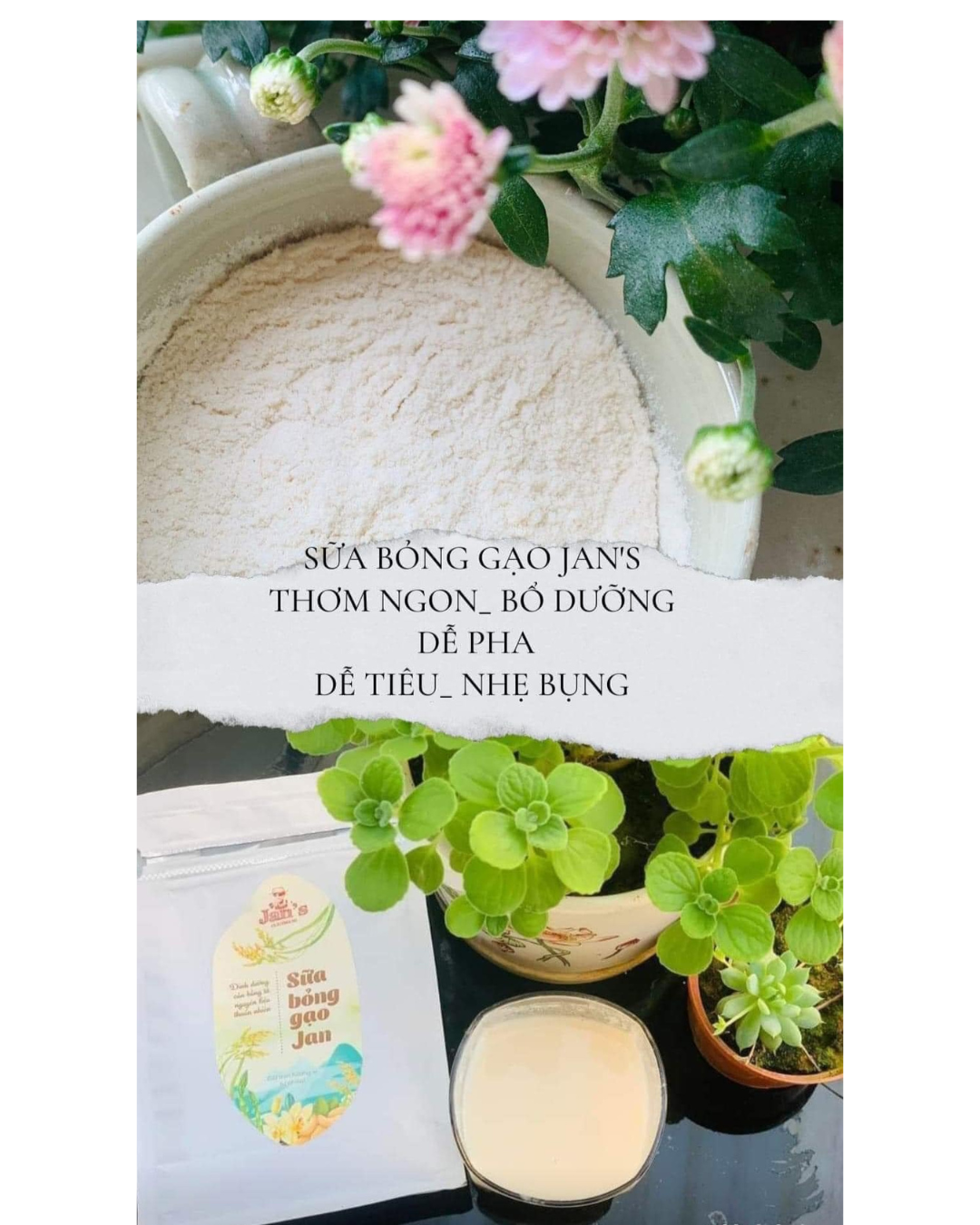 Sữa Bỏng Gạo Jan’s Túi 300gr Bữa sáng tiện lợi Bữa phụ đủ chất Thơm ngon, dễ tiêu, giàu dinh dưỡng Koshka Home