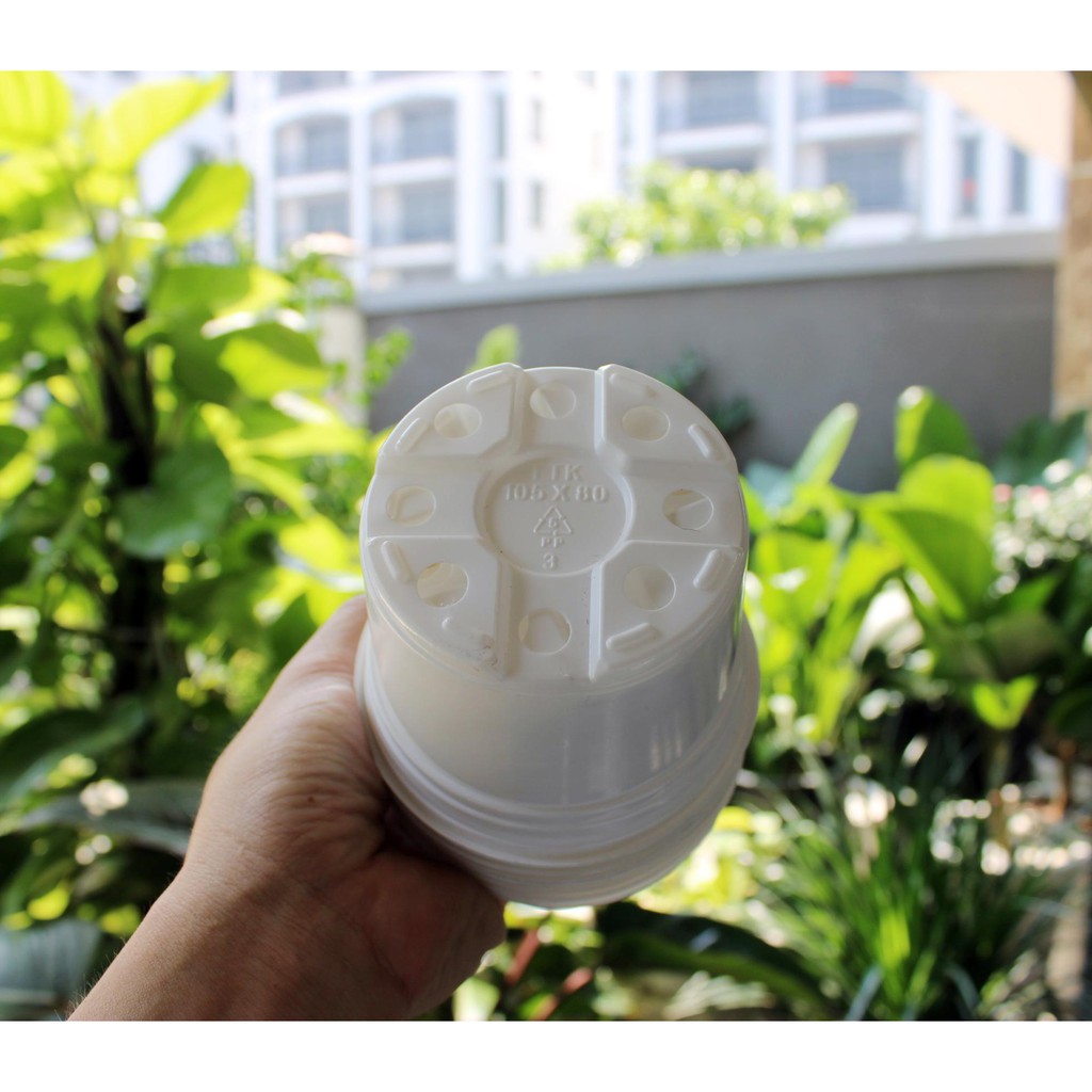 Combo 50 Chậu nhựa ươm hạt TTK chậu ươm trồng cây con, chậu ươm rẻ đẹp .