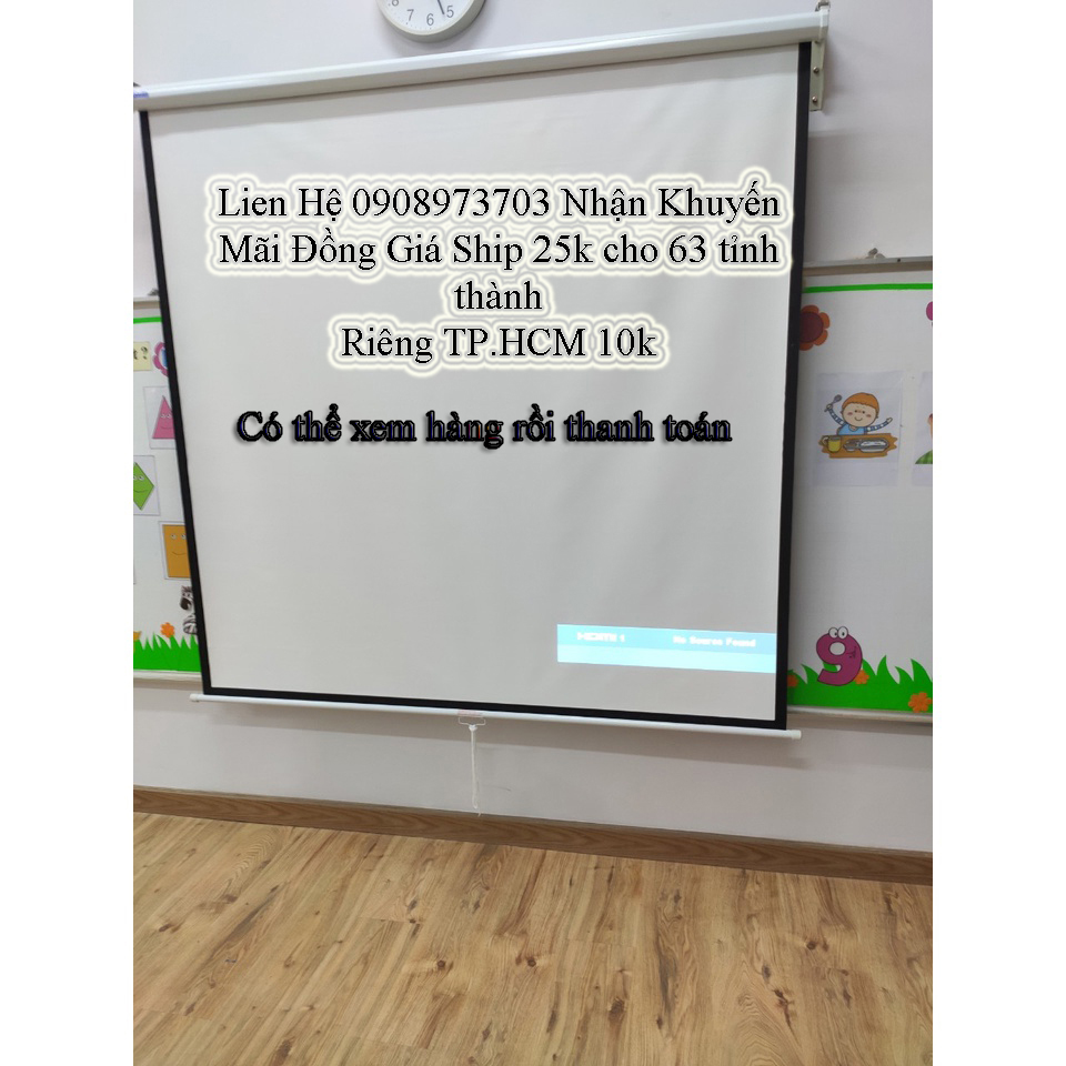 Màn Chiếu Treo Tường Kéo Tay Apollo