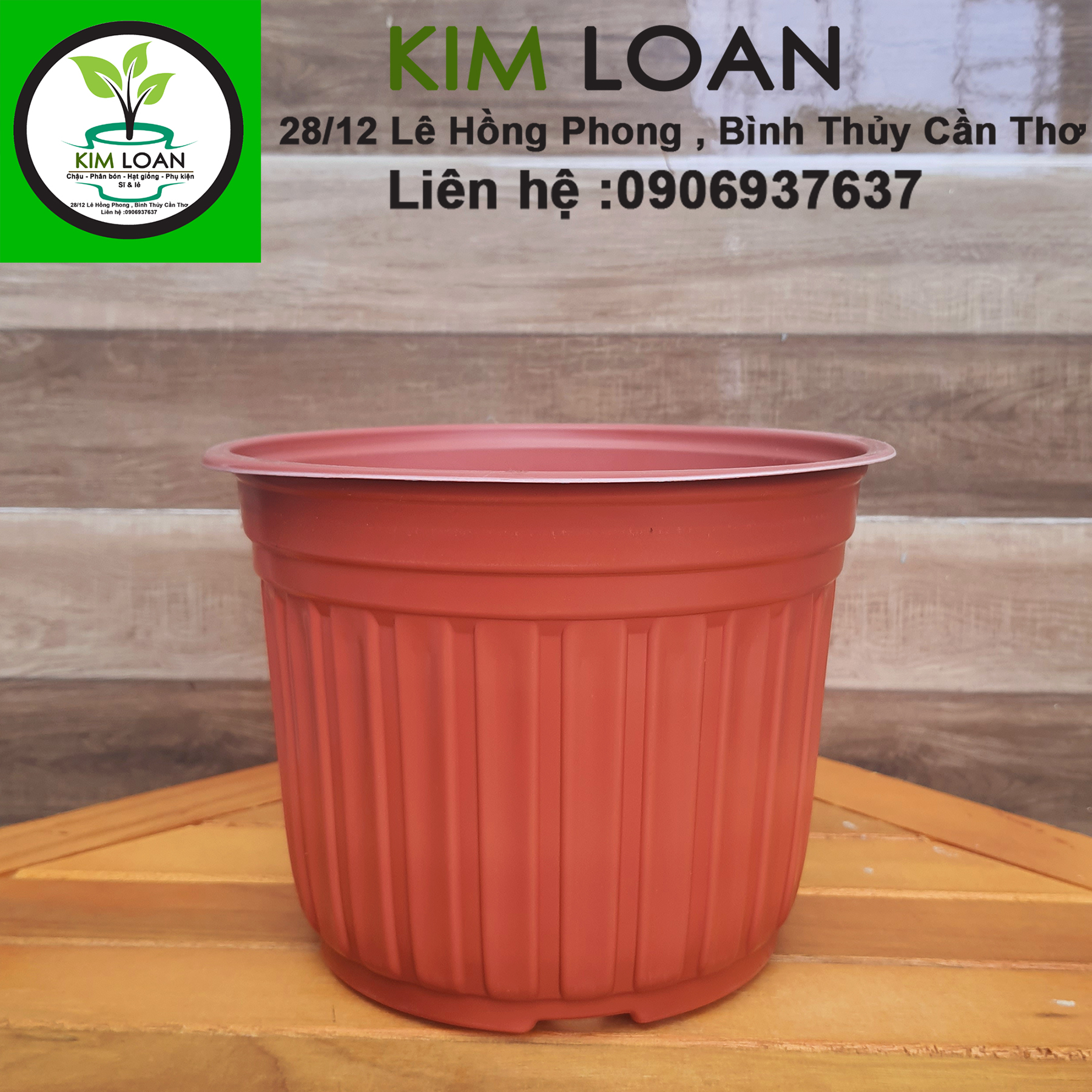 Combo 100 chậu nhựa tròn vành cứng C5 20x15cm