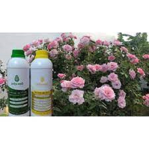 combo phân bón đậu tương ủ+dịch chuối đậm đặc +humic