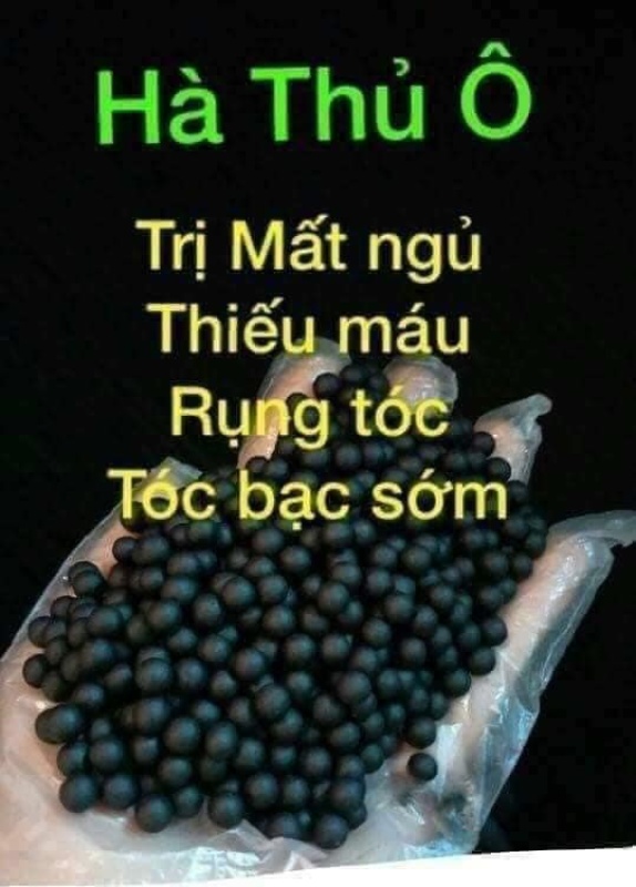 Hà Thủ Ô viên nghệ mật ong 100gram