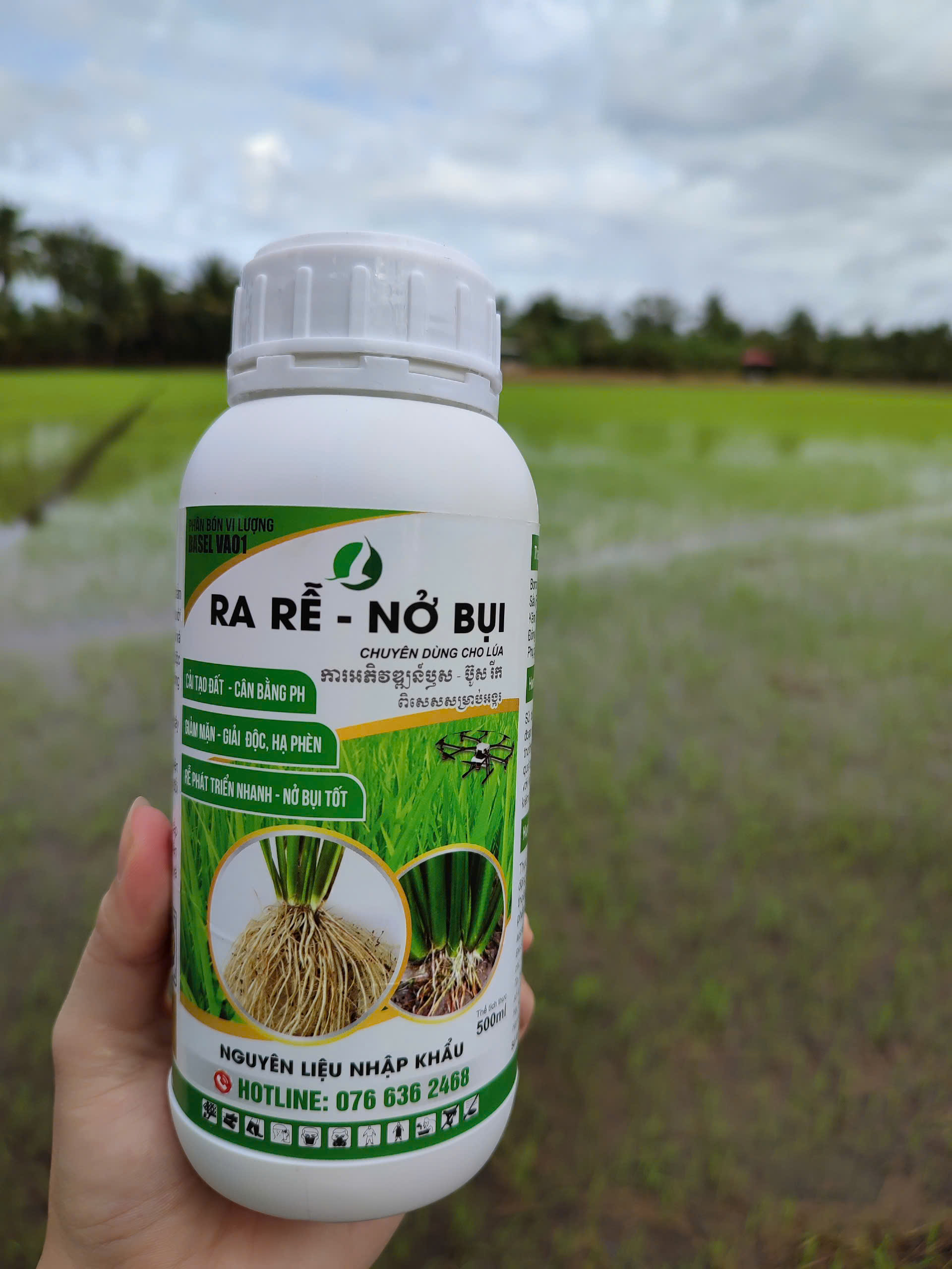 ra rễ nở bụi lúa (chai 500ml) - nở bụi nhanh, mướt lá