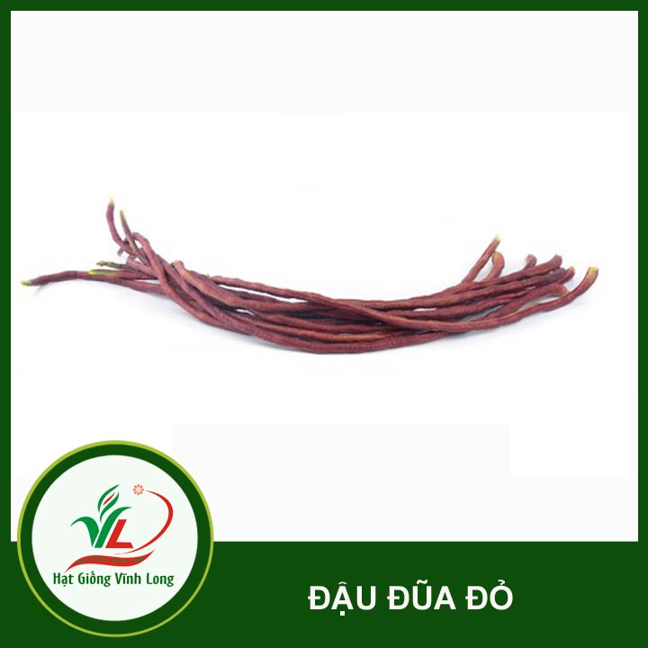 Hạt giống Đậu đũa tím RD 755 - 10g
