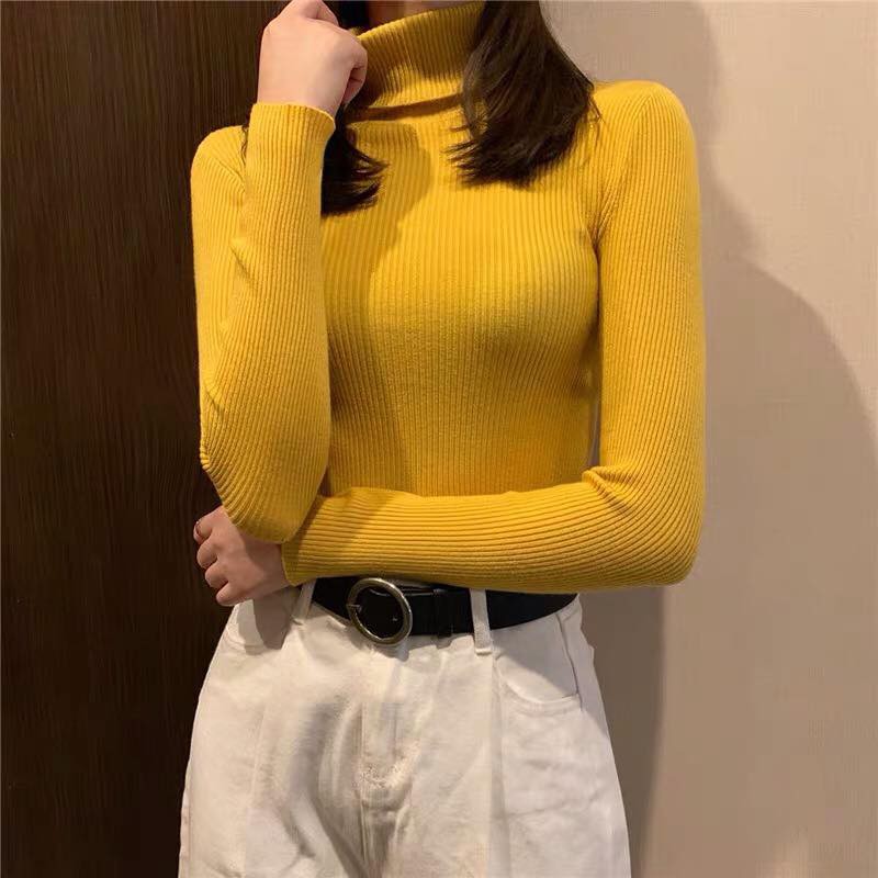 AO LEN BODY DÀI TAY CỔ 3 PHÂN CHO NỮ