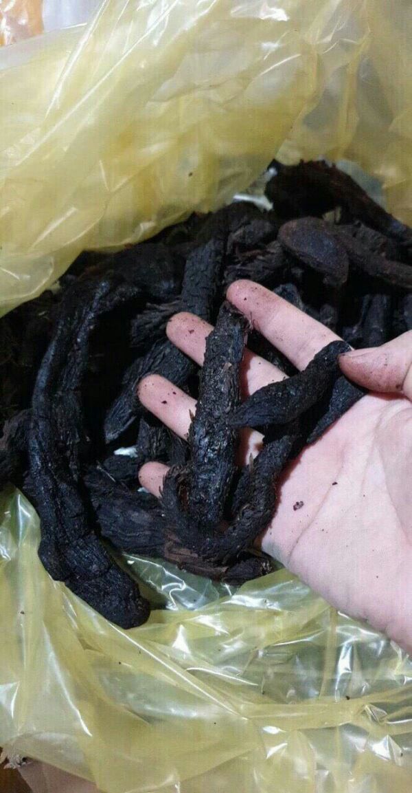 250g nhục thung dung