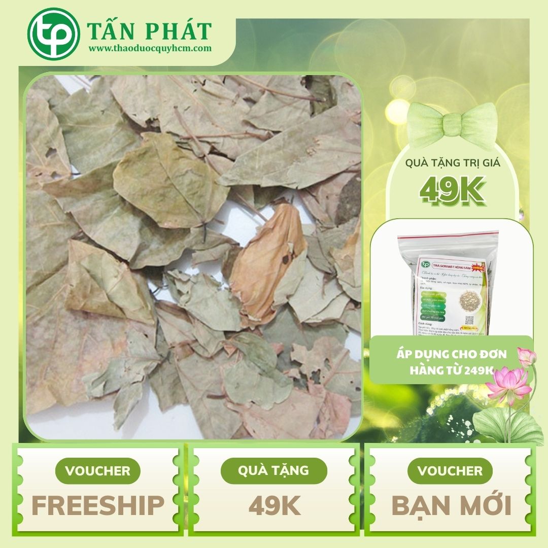 Dried Wonton Leaves, 1kg - High Quality Company Product - Supports Improving the User's Health - Tan Phat Herbal Medicine