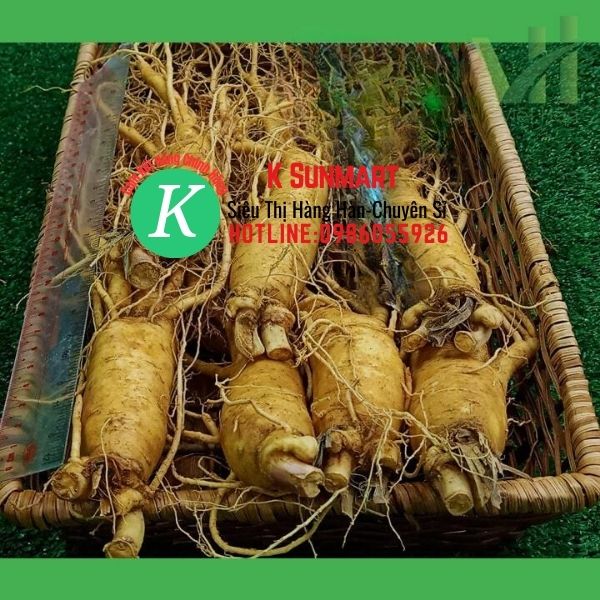 K Sunmart-CỦ SÂM TƯƠI HÀN QUỐC (1kg/8-9 Củ)