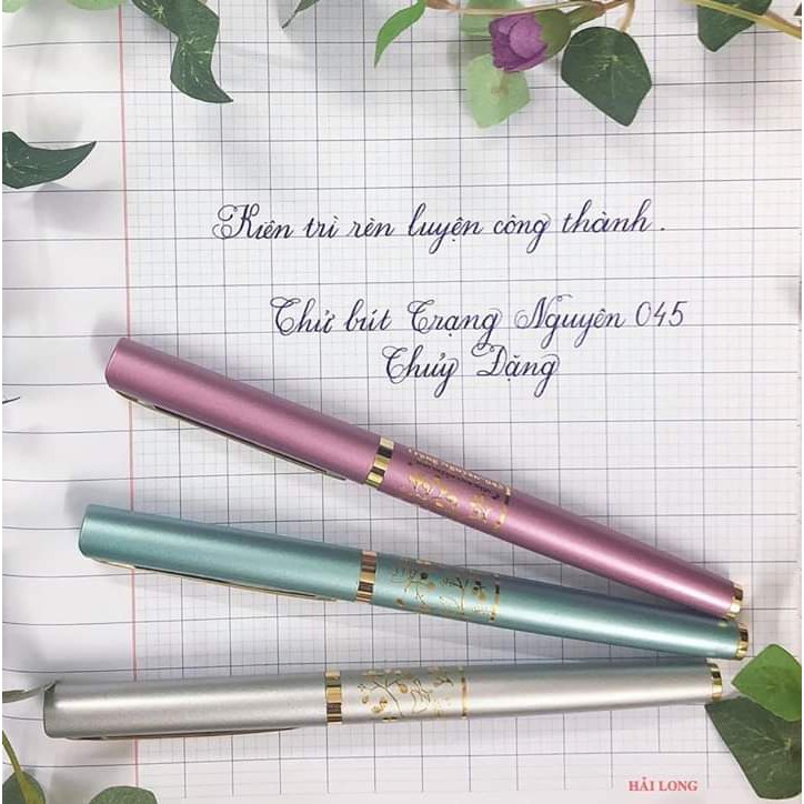 Bút Máy Luyện Viết Chữ Đẹp Trạng Nguyên 042 Tặng Ngòi