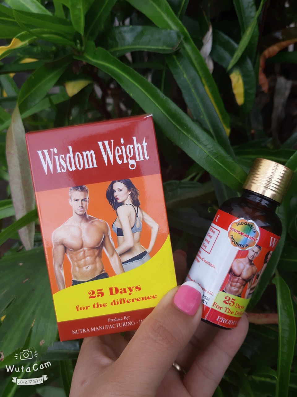 Tăng Cân Wisdom Indo Hộp 25 viên [ chuẩn ]