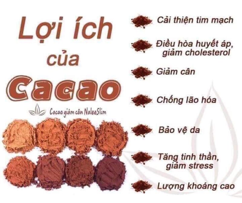 500gr Bột cacao nguyên chất đắk Lắk loại 1